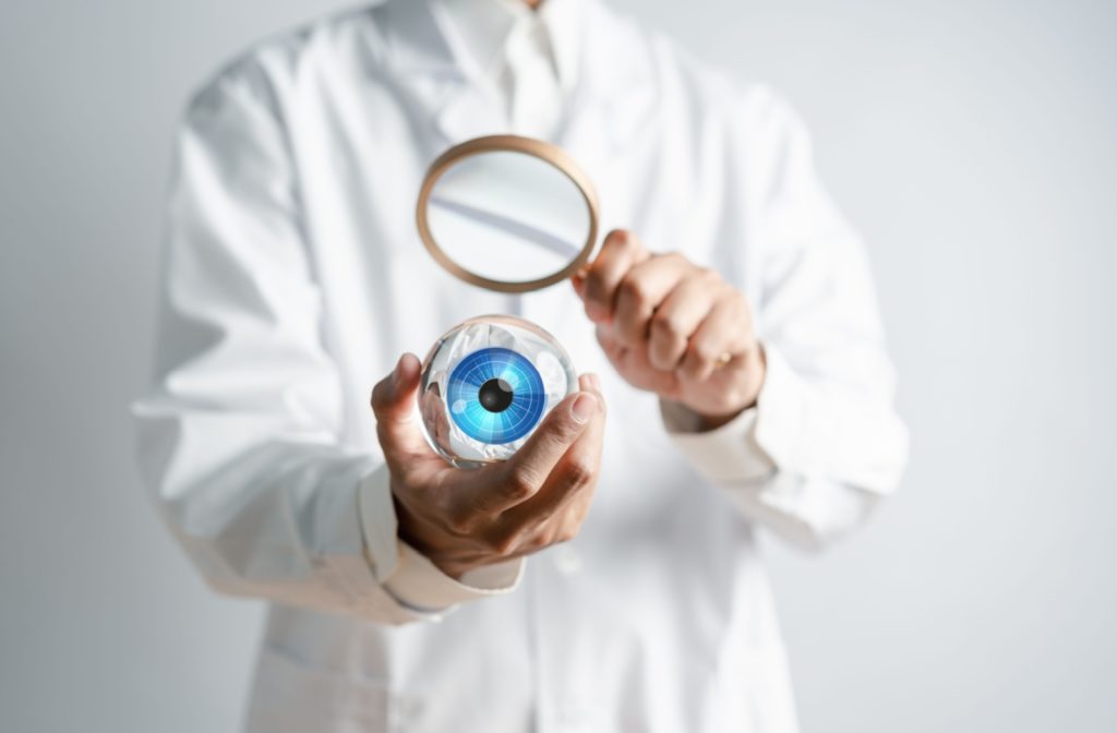 An optometrist holding a model of an eye examines it with a magnifying glass.